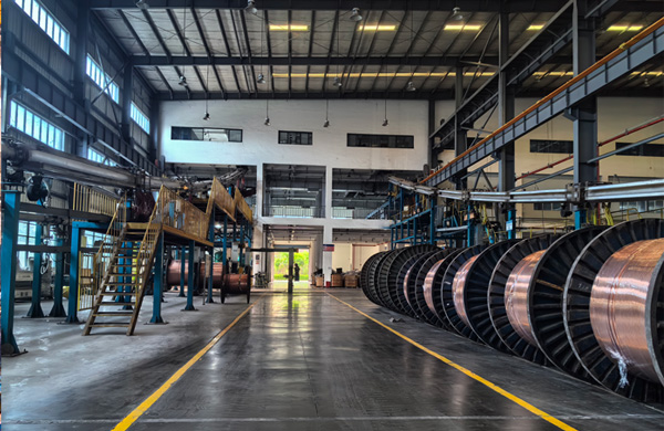 �����a(ch��n)